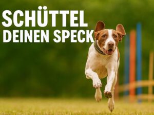 Mehr über den Artikel erfahren Schüttel deinen Speck  – Speckweg nach Weihnachten